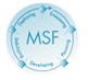 our customised agile Microsoft Solutions Framework